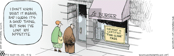 Non Sequitur on Monday April 16, 2012 Comic Strip