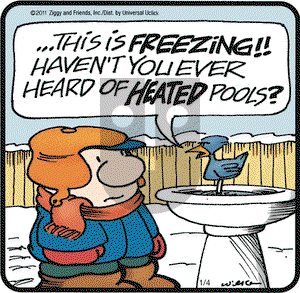 Ziggy on Tuesday January 4, 2011 Comic Strip