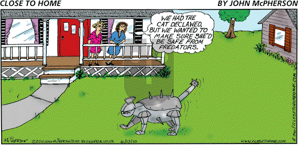 Close to Home on Sunday June 13, 2010 Comic Strip