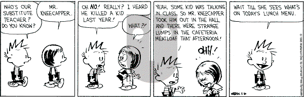 Calvin and Hobbes - Tuesday May 30, 1995 Comic Strip