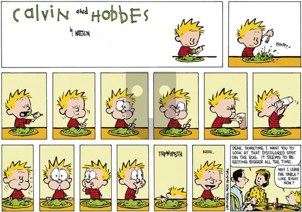 Calvin and Hobbes on Sunday September 17, 1989 Comic Strip