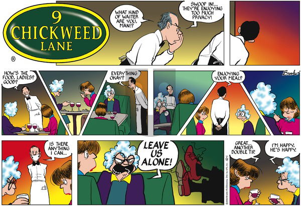 9 Chickweed Lane on Sunday December 1, 2002 Comic Strip