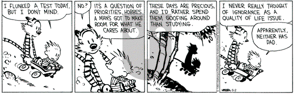 Calvin and Hobbes - Friday June 2, 2023 Comic Strip