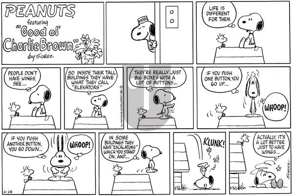 Peanuts on Sunday June 28, 1981 Comic Strip