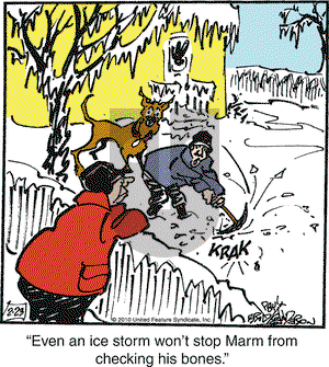 Marmaduke on Tuesday February 23, 2010 Comic Strip