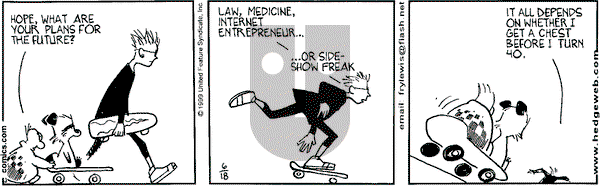Over the Hedge on Monday November 20, 2000 Comic Strip