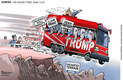 ViewsMidEast on Sunday November 15, 2020 Comic Strip
