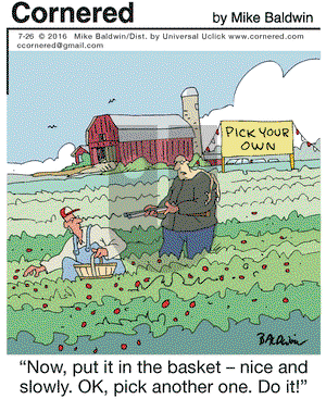 Cornered on Tuesday July 26, 2016 Comic Strip
