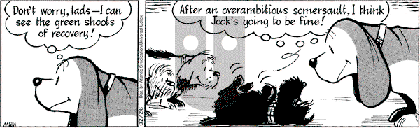 Fred Basset on Friday February 26, 2010 Comic Strip