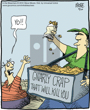 In the Bleachers on Saturday September 20, 2014 Comic Strip