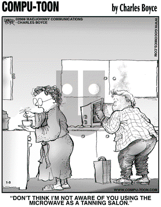Compu-toon on Saturday January 3, 2009 Comic Strip