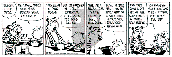Calvin and Hobbes on Tuesday February 28, 1989 Comic Strip