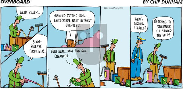 Overboard on Sunday June 19, 2005 Comic Strip