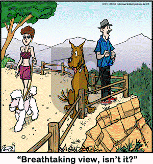 Marmaduke on Monday June 12, 2017 Comic Strip