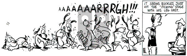 Buckles - Thursday September 26, 2024 Comic Strip