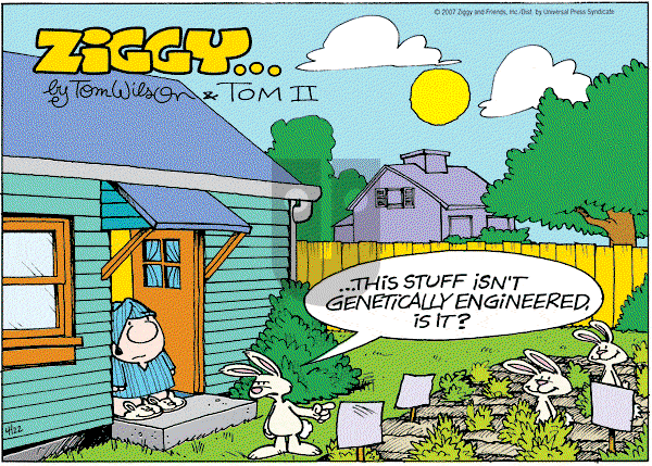 Ziggy - Sunday April 22, 2007 Comic Strip