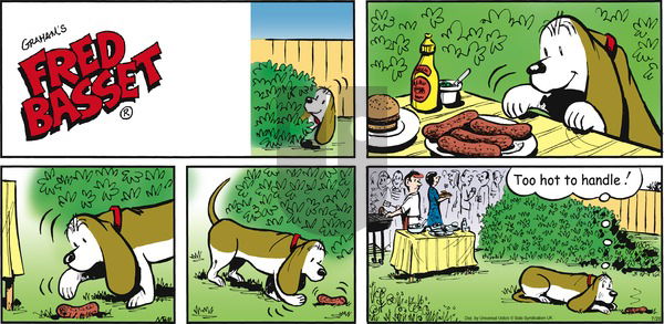 Fred Basset on Sunday July 26, 2015 Comic Strip