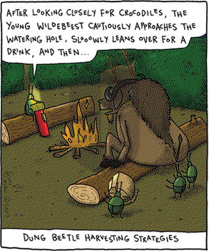 The Argyle Sweater on Tuesday August 14, 2007 Comic Strip