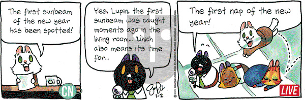 Breaking Cat News on Saturday January 2, 2021 Comic Strip