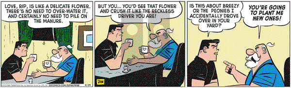 Rip Haywire on Monday June 29, 2015 Comic Strip