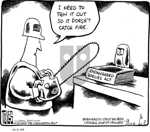 Tom Toles on Sunday October 2, 2005 Comic Strip