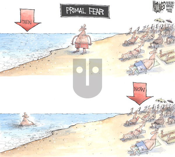 Matt Davies on Sunday May 24, 2020 Comic Strip