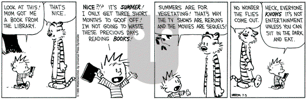 Calvin and Hobbes on Monday July 3, 1995 Comic Strip