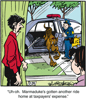 Marmaduke on Wednesday February 24, 2010 Comic Strip