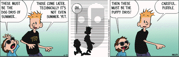 Frazz on Saturday June 13, 2020 Comic Strip