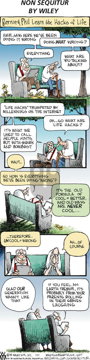 Non Sequitur on Sunday July 21, 2019 Comic Strip