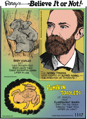 Ripley's Believe It or Not on Tuesday November 17, 2020 Comic Strip