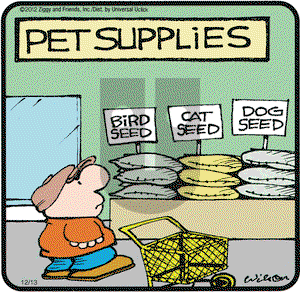 Ziggy on Thursday December 13, 2012 Comic Strip