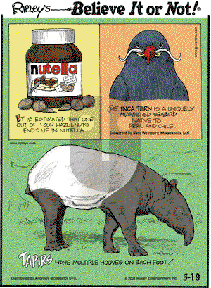 Ripley's Believe It or Not on Friday March 19, 2021 Comic Strip