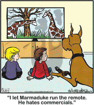 Marmaduke on Saturday February 20, 2021 Comic Strip