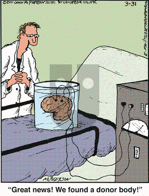 Close to Home on Thursday March 31, 2011 Comic Strip