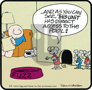 Ziggy on Wednesday June 8, 2016 Comic Strip
