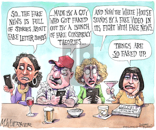 Matt Wuerker on Tuesday November 13, 2018 Comic Strip