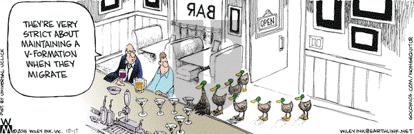 Non Sequitur on Monday October 17, 2016 Comic Strip