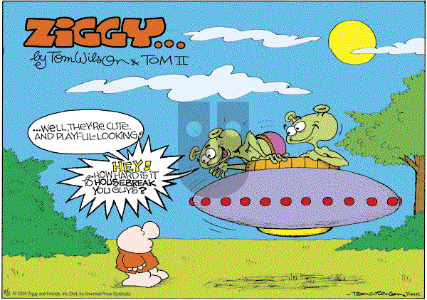 Ziggy - Sunday August 1, 2004 Comic Strip