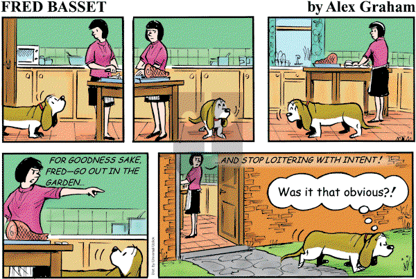Fred Basset on Sunday July 4, 2010 Comic Strip