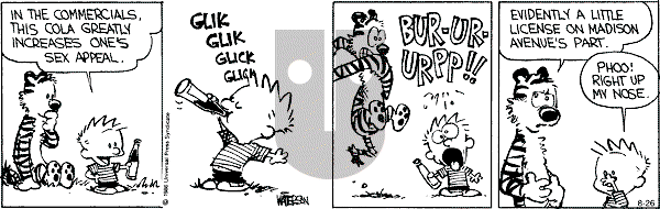 Calvin and Hobbes - Monday August 26, 1991 Comic Strip
