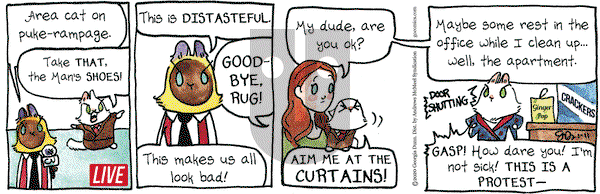 Breaking Cat News on Saturday January 11, 2020 Comic Strip