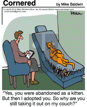 Cornered - Wednesday November 10, 2010 Comic Strip