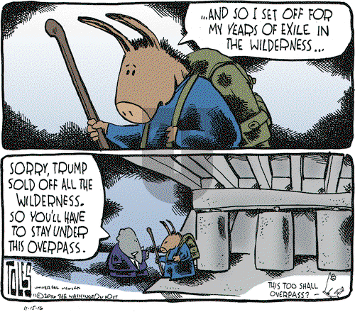 Tom Toles on Tuesday November 15, 2016 Comic Strip