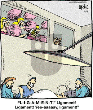 In the Bleachers - Wednesday November 4, 2009 Comic Strip