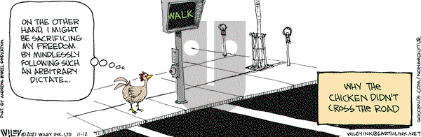 Non Sequitur - Friday November 12, 2021 Comic Strip