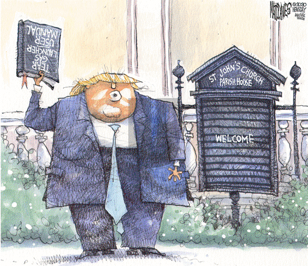 Matt Davies on Wednesday June 3, 2020 Comic Strip