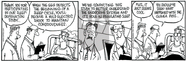 Monty on Monday April 8, 2002 Comic Strip