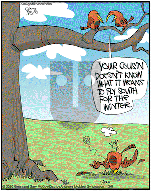 The Flying McCoys on Saturday February 8, 2020 Comic Strip