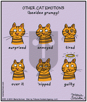 Half Full on Wednesday September 30, 2015 Comic Strip